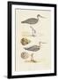 Sandpipers & Eggs I-Morris-Framed Art Print