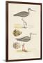 Sandpipers & Eggs I-Morris-Framed Art Print