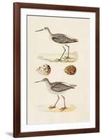 Sandpipers & Eggs II-Morris-Framed Art Print