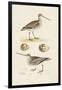 Sandpipers & Eggs III-Morris-Framed Art Print