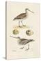 Sandpipers & Eggs III-Morris-Stretched Canvas