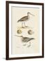 Sandpipers & Eggs III-Morris-Framed Art Print