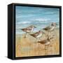 Sandpipers I-null-Framed Stretched Canvas