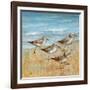 Sandpipers I-null-Framed Art Print