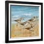 Sandpipers I-null-Framed Art Print