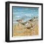 Sandpipers I-null-Framed Art Print