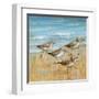 Sandpipers I-null-Framed Art Print