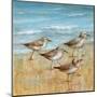 Sandpipers I-null-Mounted Art Print