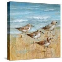 Sandpipers I-null-Stretched Canvas