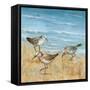 Sandpipers II-null-Framed Stretched Canvas