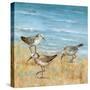 Sandpipers II-null-Stretched Canvas