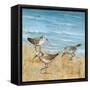 Sandpipers II-null-Framed Stretched Canvas