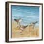 Sandpipers II-null-Framed Art Print