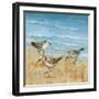 Sandpipers II-null-Framed Art Print