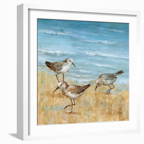 Sandpipers II-null-Framed Art Print