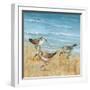 Sandpipers II-null-Framed Art Print