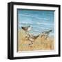 Sandpipers II-null-Framed Art Print