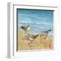 Sandpipers II-null-Framed Art Print