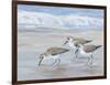 Sandpipers II-Tim OToole-Framed Art Print