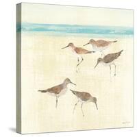 Sandpipers Square II-Avery Tillmon-Stretched Canvas