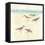 Sandpipers Square II-Avery Tillmon-Framed Stretched Canvas