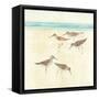 Sandpipers Square II-Avery Tillmon-Framed Stretched Canvas