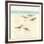 Sandpipers Square II-Avery Tillmon-Framed Premium Giclee Print