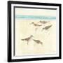 Sandpipers Square II-Avery Tillmon-Framed Premium Giclee Print