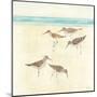 Sandpipers Square II-Avery Tillmon-Mounted Art Print