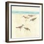 Sandpipers Square II-Avery Tillmon-Framed Art Print