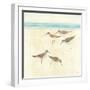 Sandpipers Square II-Avery Tillmon-Framed Art Print