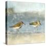 Sandpipers-Kimberly Allen-Stretched Canvas