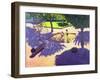 Sandpit, France-Andrew Macara-Framed Giclee Print