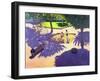 Sandpit, France-Andrew Macara-Framed Giclee Print