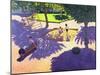 Sandpit, France-Andrew Macara-Mounted Giclee Print