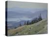 Sandpoint from Schweitzer Mountain, August-Tom Hughes-Stretched Canvas