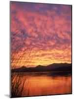 Sandpoint, Id, Sunset on Lake-Mark Gibson-Mounted Photographic Print