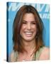 Sandra Bullock-null-Stretched Canvas