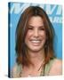 Sandra Bullock-null-Stretched Canvas