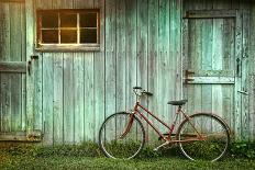 Digital Painting of Old Bicycle against Grungy Barn-Sandra Cunningham-Art Print