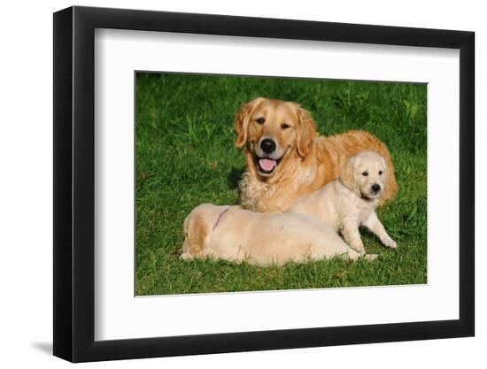 Premium Photographic Print, , large