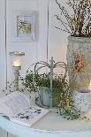 Spring decoration with potted plants, lenten rose, Helleborus orientalis,-Sandra Gutekunst-Photographic Print