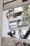 spring decoration with flowerpots and coloured hearts, close-up-Sandra Gutekunst-Photographic Print