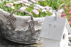 bunch of buttercups and candy necklaces in storage jar, Ranunculus asiaticus, close-up-Sandra Gutekunst-Photographic Print