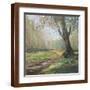 Brown Frame
