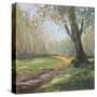 Stretched Canvas