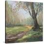 Stretched Canvas