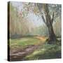 Stretched Canvas