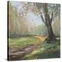 Stretched Canvas