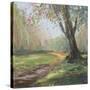 Stretched Canvas
